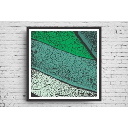 Quadro Abstrato Texturas da Natureza - 55x55 cm
