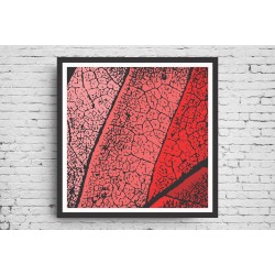 Quadro Abstrato Texturas da Natureza - 55x55 cm