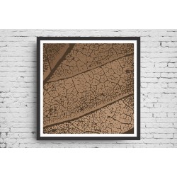 Quadro Abstrato Texturas da Natureza - 55x55 cm