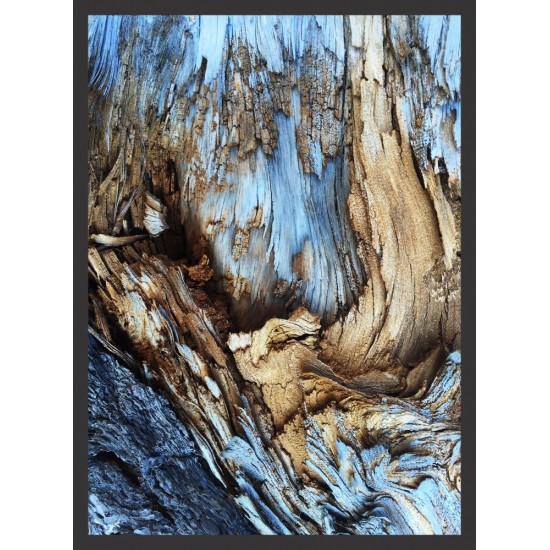Quadro Abstrato Arte da Natureza - 75x55 cm