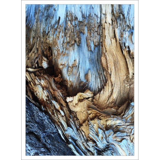Quadro Abstrato Arte da Natureza - 75x55 cm