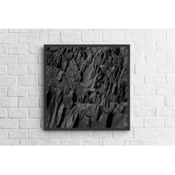 Quadro Formas da Natureza - 65x65 cm