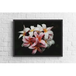 Quadro Encantos da Natureza - 60x80 cm