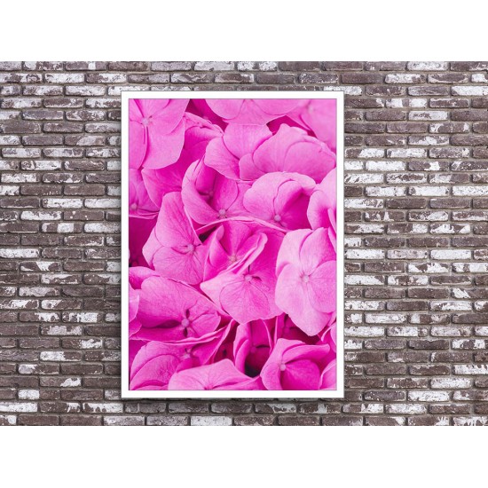 Quadro Flores sem Filtro - 80x60 cm