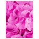 Quadro Flores sem Filtro - 80x60 cm
