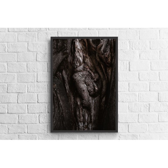 Quadro Esculturas Naturais - 90x60 cm