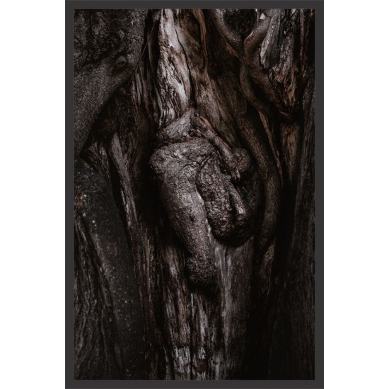 Quadro Esculturas Naturais - 90x60 cm