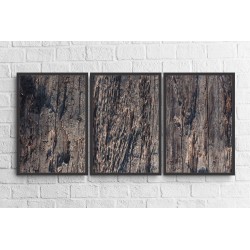 Conjunto de Quadros Wood Textures - Modelo 2 - 135x65 cm