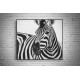Quadro Zebra Serengeti - 80x90 cm