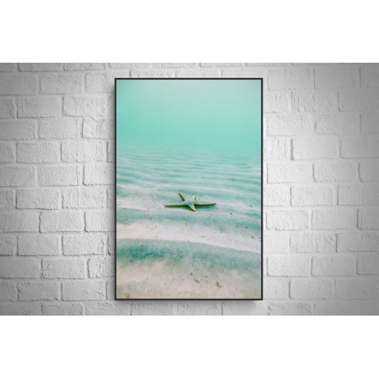 Quadro Mergulho no Hawaii - 120x80 cm