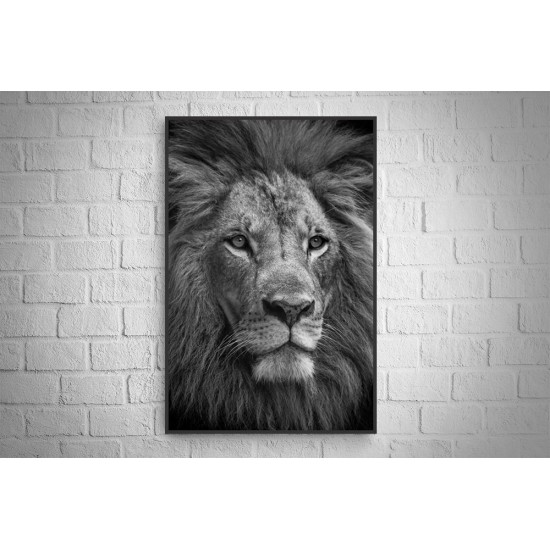 Quadro O Leão - 90x60 cm