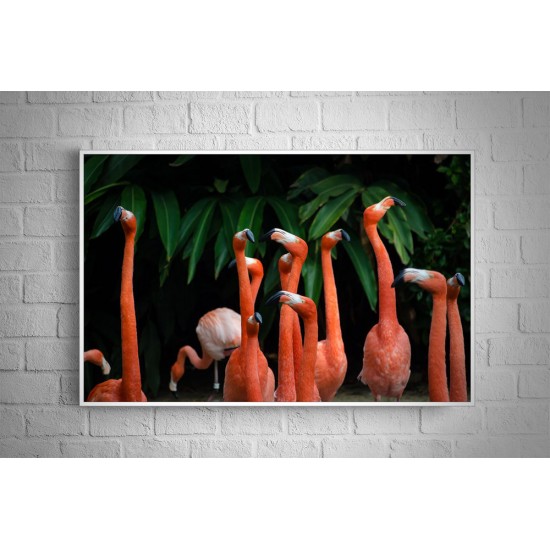 Quadro Flamingos - 60x90 cm