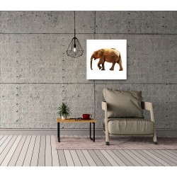 Quadro Africa Elefante - 70x70 cm