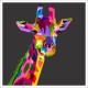 Quadro Africa Girafa Pop Art - 70x70 cm