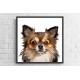 Quadro Digital Dog Raça Pequena  - 70x70 cm