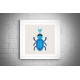 Quadro Besouro Azul - 29x29 cm 