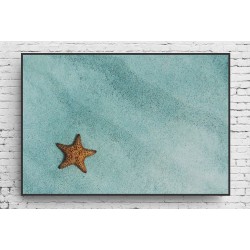 Quadro Estrela do Mar - 110x75 cm