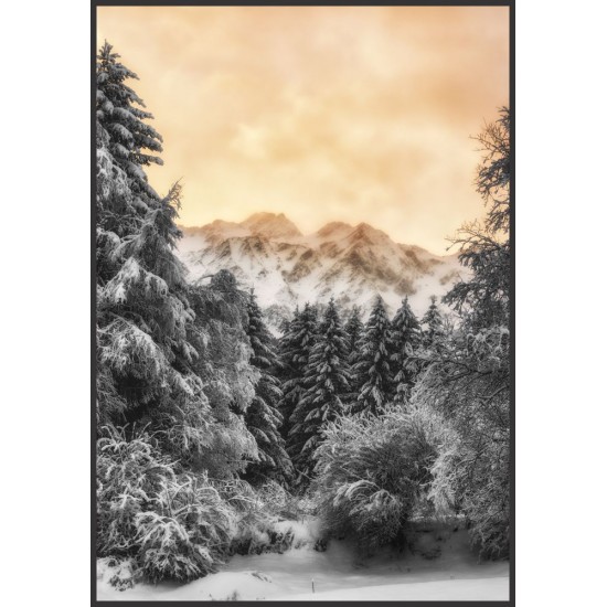 Quadro Natureza Inverno - 70x100 cm