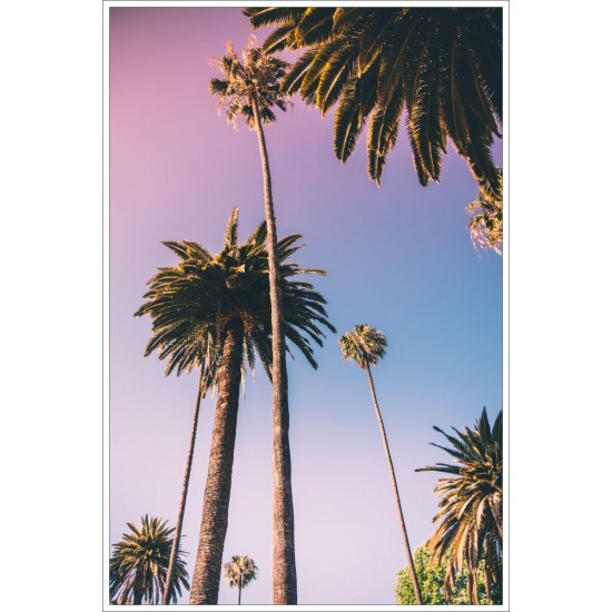Quadro Céu em Los Angeles - 60x90 cm
