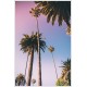 Quadro Céu em Los Angeles - 60x90 cm