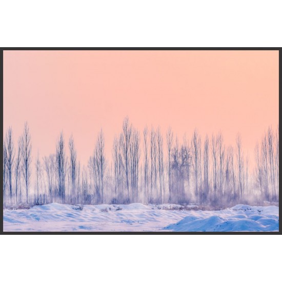 Quadro Inverno Esplendido - 60x90 cm