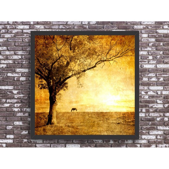 Quadro Final de Tarde Imagem Vintage  - 55x55 cm