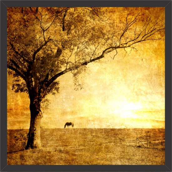 Quadro Final de Tarde Imagem Vintage  - 55x55 cm