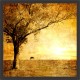 Quadro Final de Tarde Imagem Vintage  - 55x55 cm